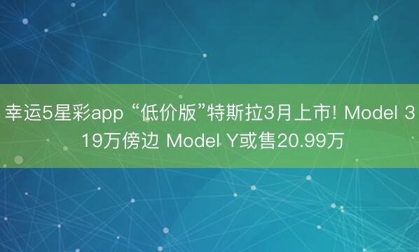 幸运5星彩app “低价版”特斯拉3月上市! Model 3 19万傍边 Model Y或售20.99万