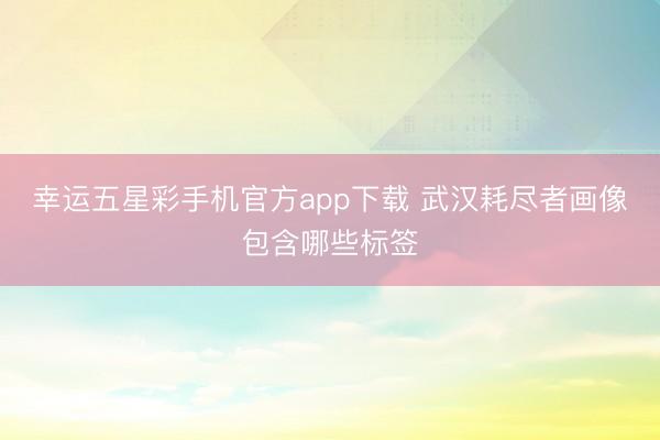 幸运五星彩手机官方app下载 武汉耗尽者画像包含哪些标签
